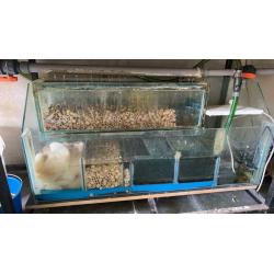 Groote aquarium met alles inbegrepen