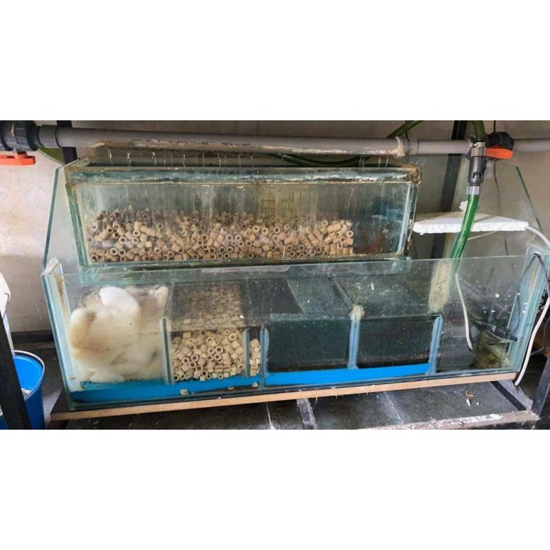 Groote aquarium met alles inbegrepen