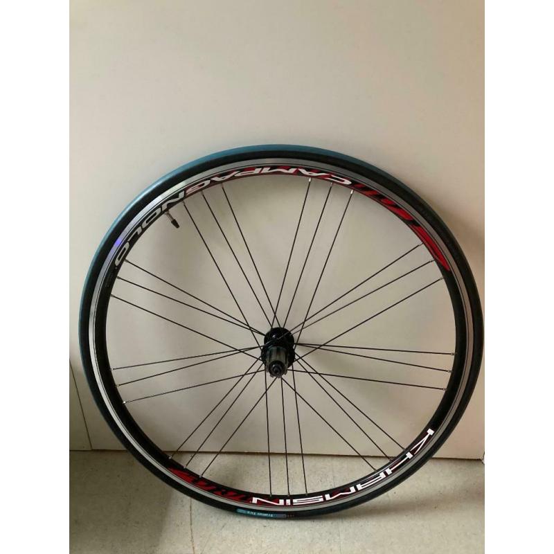 Tacx Fortius rollentrainer