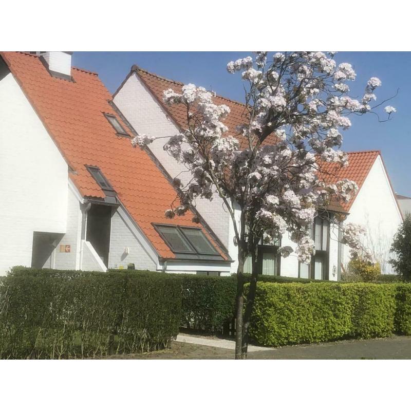 Nieuport, maison de vacances à louer
