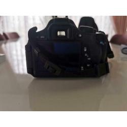 Canon D600