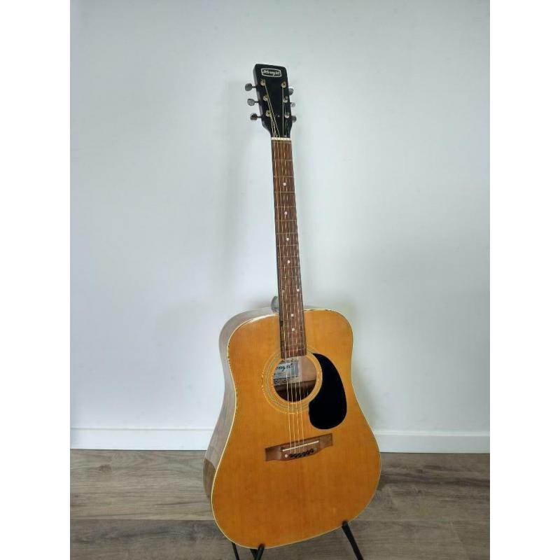 Akoestische gitaar Horugel