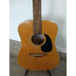 Akoestische gitaar Horugel