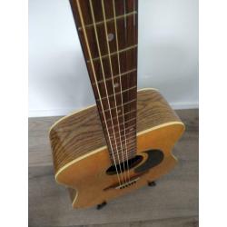 Akoestische gitaar Horugel