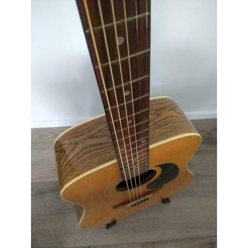 Akoestische gitaar Horugel