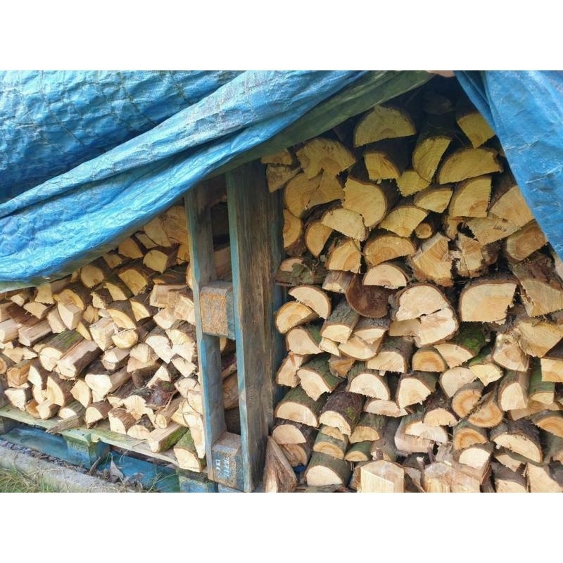 LOT de Bois de chauffage 200€ 10 stères