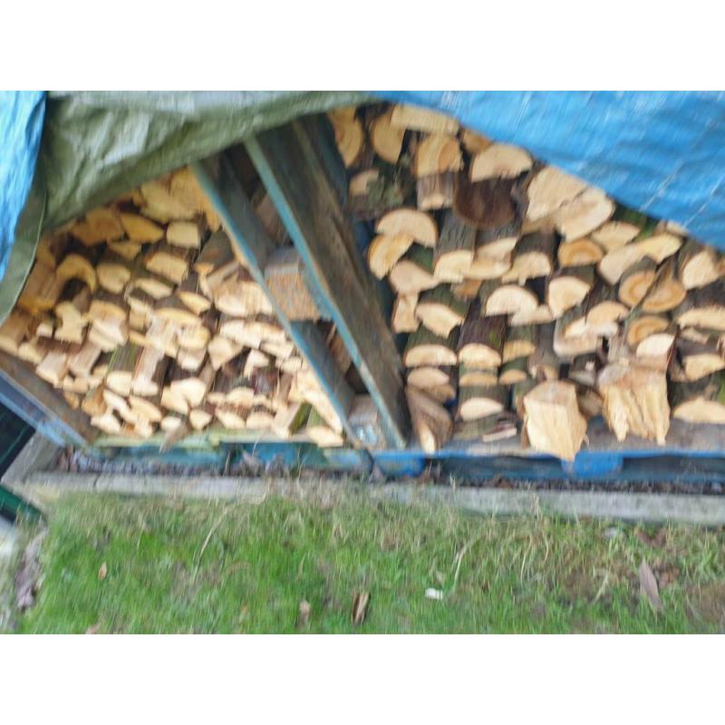 LOT de Bois de chauffage 200€ 10 stères