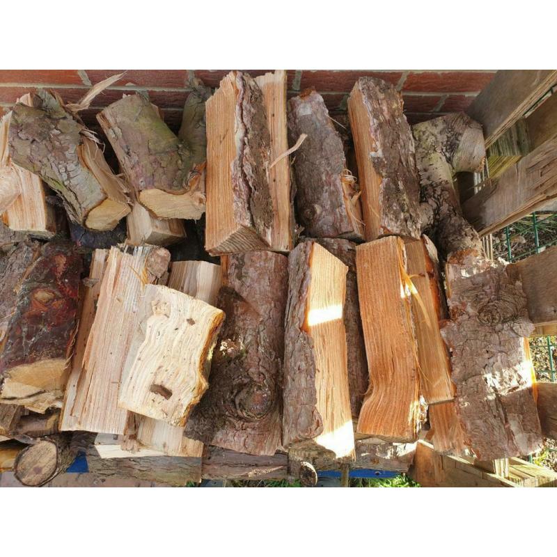 LOT de Bois de chauffage 200€ 10 stères