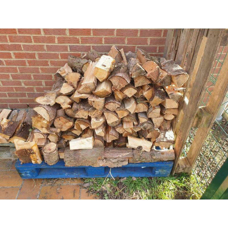 LOT de Bois de chauffage 200€ 10 stères