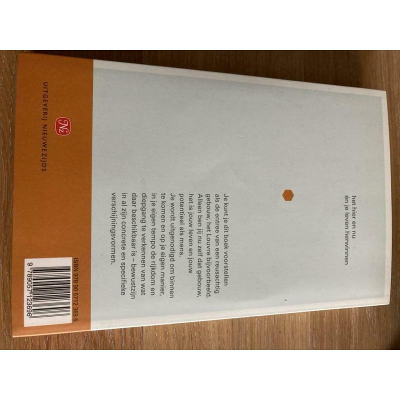 Mindfulness voor beginners - Jon kabat-zinn + cd